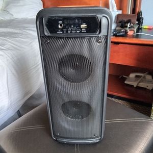 Bluetooth karaoke speaker